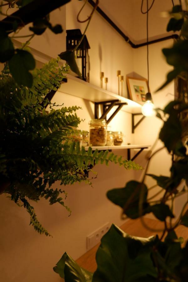 Singer Apartment Old Town Cracovia Exterior foto